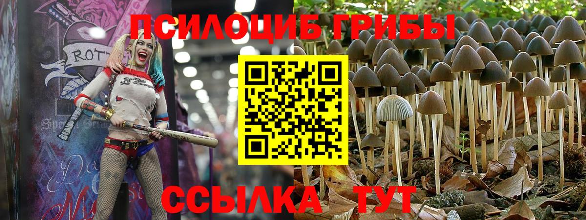 Псилоцибиновые грибы GOLDEN TEACHER  Вход с VPN  Псилоцибиновые грибы Psilocybine cubensis  Ливны 