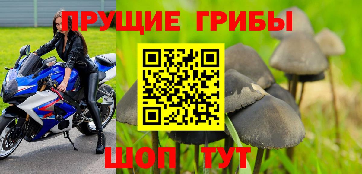 Псилоцибиновые грибы Cubensis Ливны