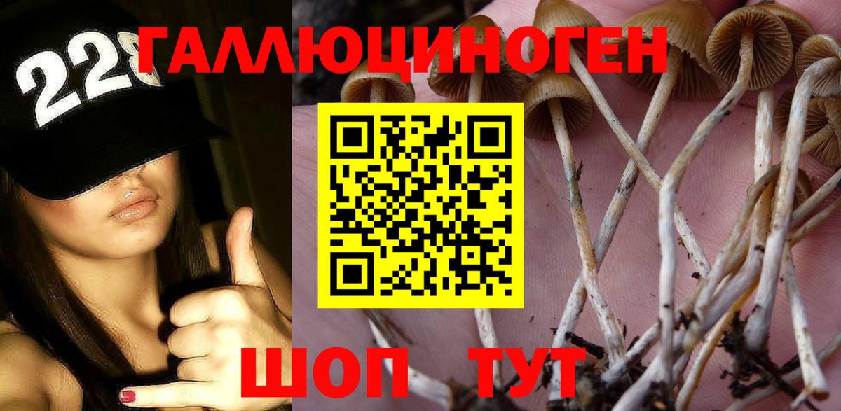 Псилоцибиновые грибы Psilocybe Ливны